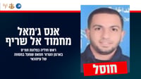 אנס אל שריף - מי שפעל במסווה של עיתונאי 