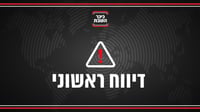 דיווח ראשוני