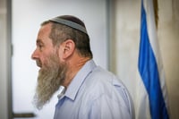 אבי מעוז