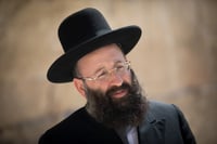 הרב שמואל רבינוביץ
