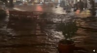 מוות אכזר: הנהר עלה על גדותיו בסערה - ודחף את הרכב מחוץ לגשר