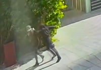 רגעי פיגוע הדקירה