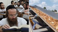 מכרות הזהב, אברכים - אילוסטרציה