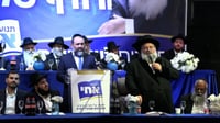 המפלגה החדשה