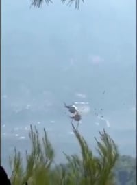 שני מסוקי כיבוי התנגשו באוויר במערב אתונה ונפלו לקרקע