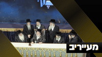 מול האדמו"ר ואלפי חסידים: מצגת כלא 10 | מעייריב