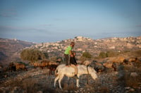 תחזית: ירידה בטמפרטורות והקלה בחום - עד יום רביעי