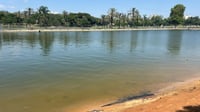 ילד בן 6 חולץ ממי אגם בתל אביב במצב קשה; אזרחית אתרה אותו
