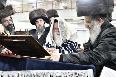 קריאת המגילה בחצה"ק מכנובקא בעלזא
