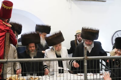 פורים בחצה"ק קרעטשניף סיגעט