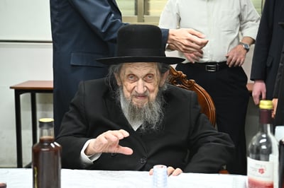 הגאון רבי דב לנדו
