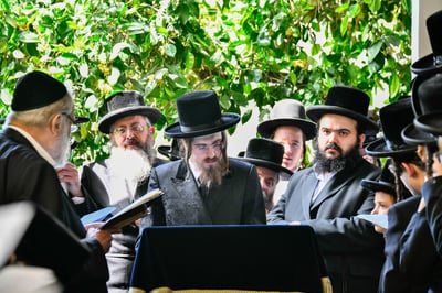 האדמו"ר מסאדיגורה בברכת האילנות 