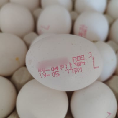 הביצים המזויפות