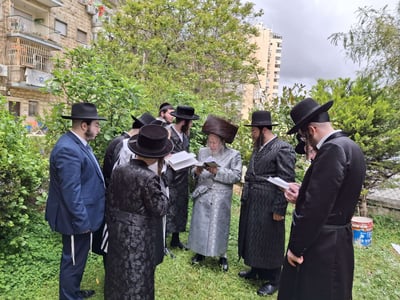 האדמו"ר מסטרופקוב בברכת האילנות