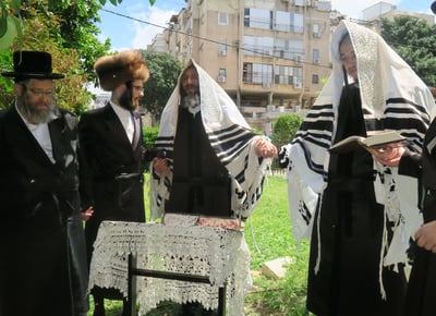 חג הפסח בחצה"ק ספינקא רמת אהרן