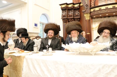 שמחת הפדיון הבן בחצרות זוויעהיל - נדבורנה אלעד