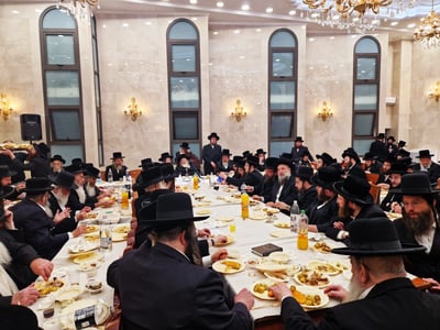 הילולא קדישא בספינקא