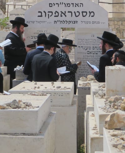 הילולא קדישא בחצה"ק סטרופקוב