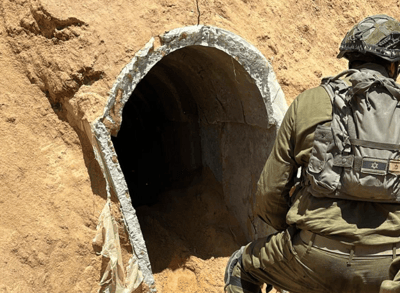 הפיר שהותר