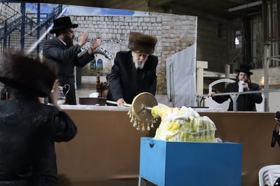 ל"ג בעומר בחצה"ק קופיטשניץ