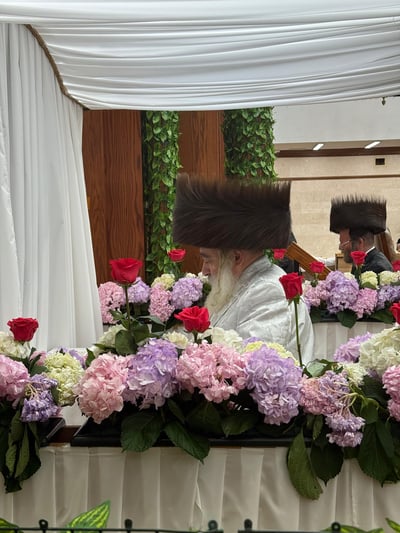 חג השבועות בחצה"ק קראלי