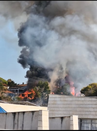 תיעוד השריפה