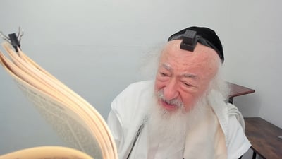 בואו לסיים ש"ס תוך שנה | השיעור היום: מסכת בבא בתרא נ'-נ"ו