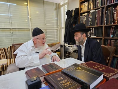 הגרמ״צ ברגמן הצדיק את ח״כ גפני ותקף בחריפות את נציגי הדת״ל