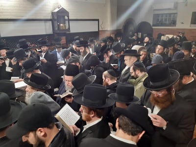 ההמונים בתפילה על הציון בעג'ור | ארכיון