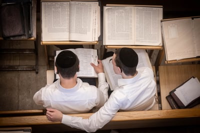 לימוד תורה