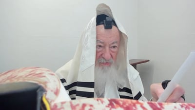 בואו לסיים ש"ס תוך שנה | השיעור היום: מסכת סנהדרין צ"ג-ק'