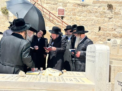 האחים האדמו"רים ממודז'יץ וקוזמיר בתפילה ע"י קבר אמם ע"ה
