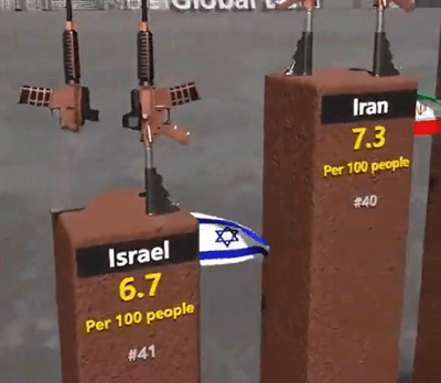 נשק בישראל ל-100 איש