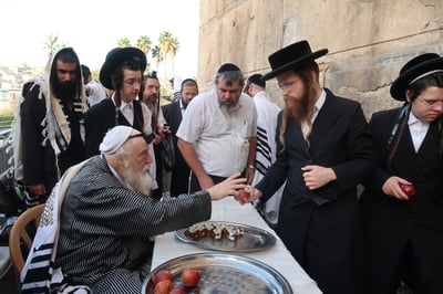 האדמו"ר ממבקשי אמונה באמירת סליחות במערת המכפלה
