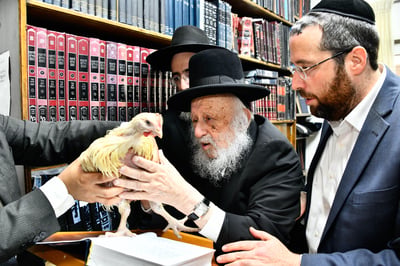 הגרב"ד פוברסקי במנהג כפרות 