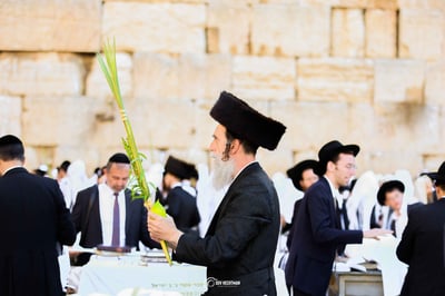 ברכת כהנים בכותל | ארכיון