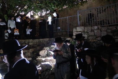 הרבי ממבקשי אמונה באמירת תשליך במעיין במברשת ציון
