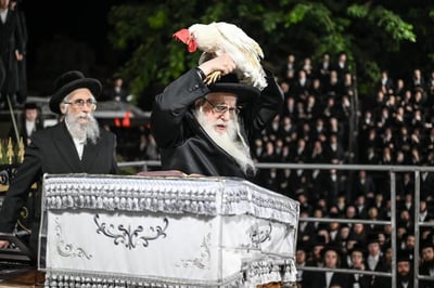 האדמו"ר מצאנז במנהג כפרות