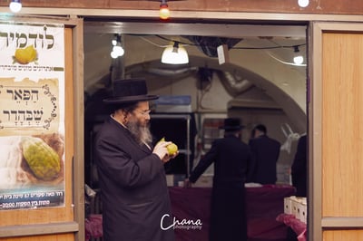 הירושלמים בשוק ארבעת המינים