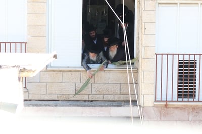 האדמו"ר מויז'ניץ בהנחת סכך ערב סוכות