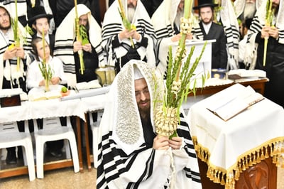 האדמו"ר מסאדיגורה בנטילת לולב