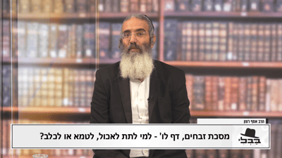 פנינת הדף היומי