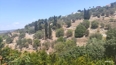 הרי צפת