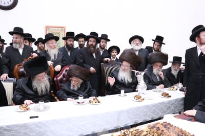 ברית בשמחת הברית בחצרות קוזמיר - ביאלה - קופיטשניץ - לעלוב בית שמש