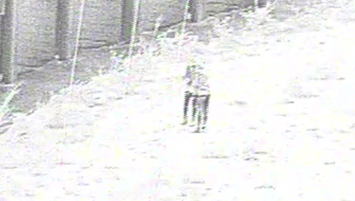 מחבלים משליכים בקבוקי תבערה לציר אזרחי מרכזי - ומחוסלים תוך שניות