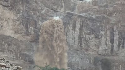 סחף מטורף: תיעודים משמחים מהנחלים שהחלו לזרום בעוצמה