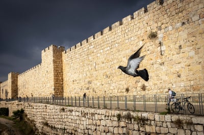 המצור שלא שמים לב אליו // הרב ישראל רידר