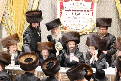 שבע ברכות בשילוב טיש ט"ו בשבט בזוועהיל