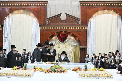 האדמו"ר מדארג בטיש ט"ו בשבט