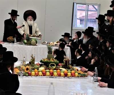 ט"ו בשבט בחצה"ק נדבורנה ירושלים